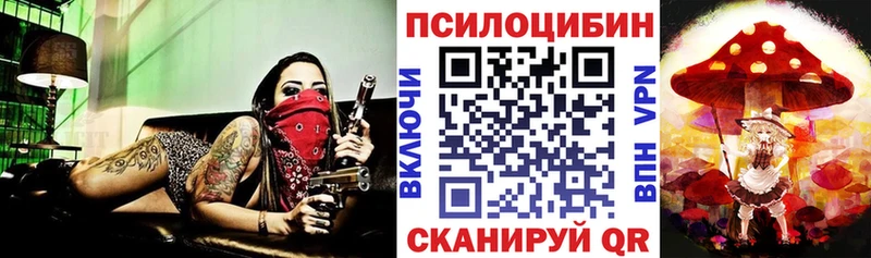 площадка состав  OMG ссылка  Багратионовск  Псилоцибиновые грибы Psilocybe 